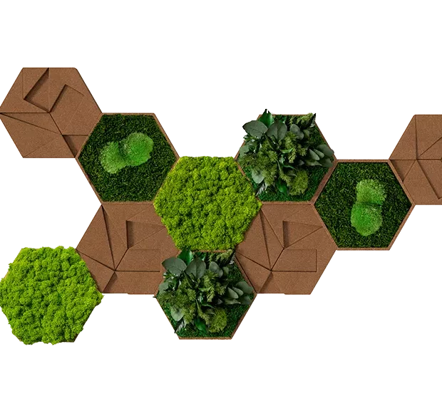 Moos Kork Hexagon Set 10er