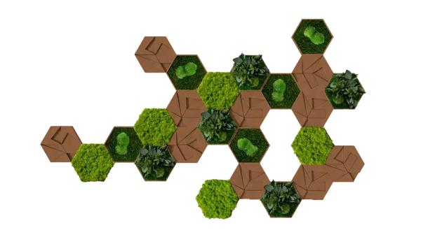 Moos Kork Hexagon Set 25er