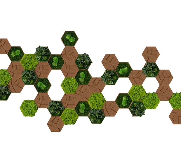 Moos Kork Hexagon Set 50er